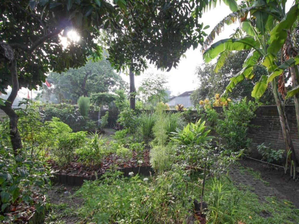 Bhumi Hostel Yogyakarta Exterior foto